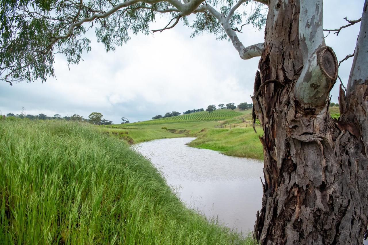 Triple Creek Guest House - Barossa Region Seppeltsfield Buitenkant foto