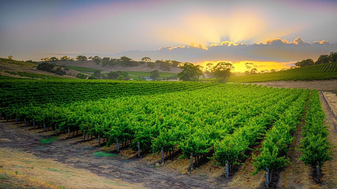 Triple Creek Guest House - Barossa Region Seppeltsfield Buitenkant foto