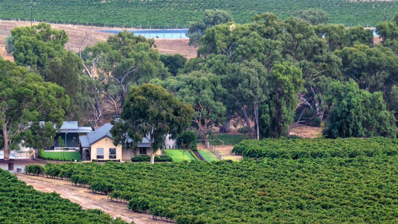 Triple Creek Guest House - Barossa Region Seppeltsfield Buitenkant foto